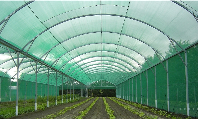 shade greenhouse