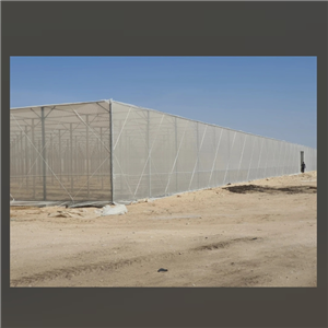 Flat Shade Net Greenhouse