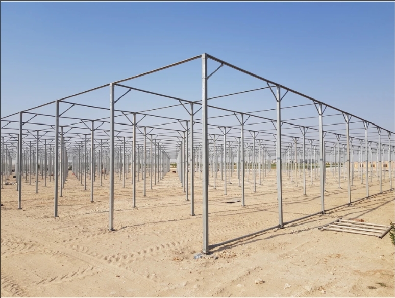 insect net house