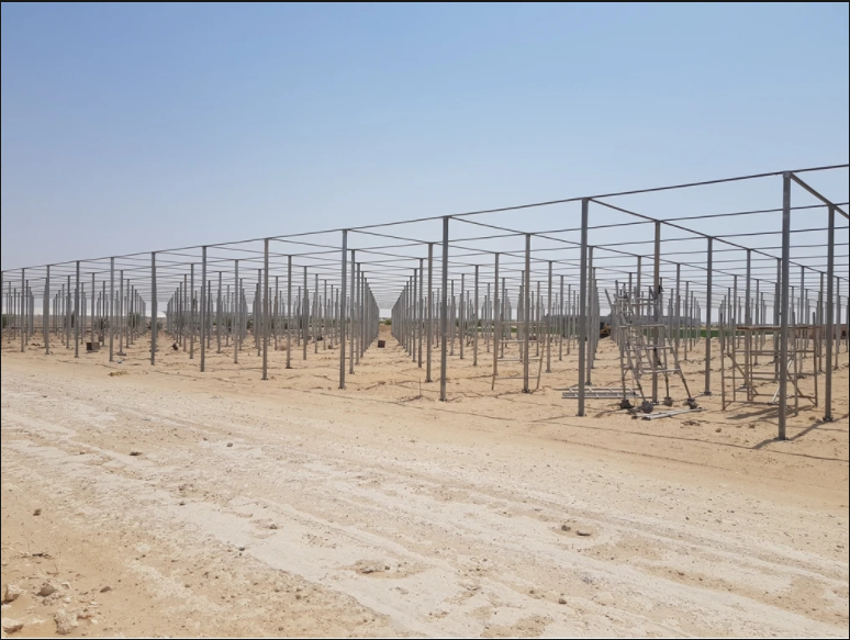 insect proof net house
