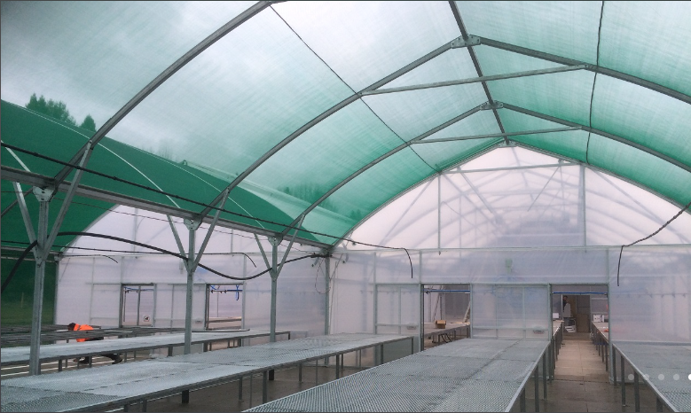 anti insect net house