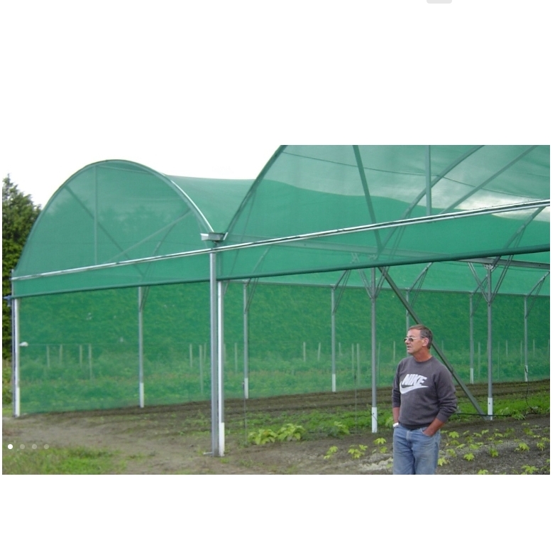 Anti Insect Proof Netting Greenhouse House