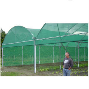 Anti Insect Proof Netting Greenhouse House