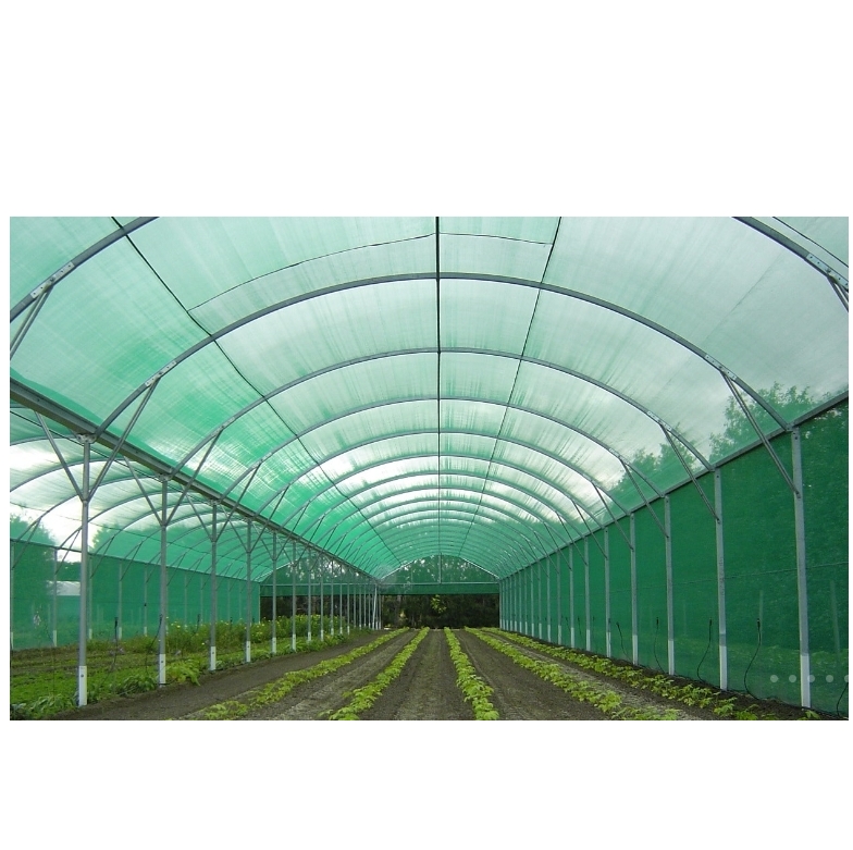 Anti Insect Proof Netting Greenhouse House