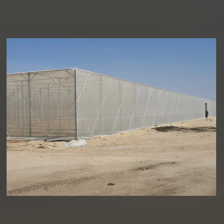 Anti Insect Proof Netting Greenhouse House