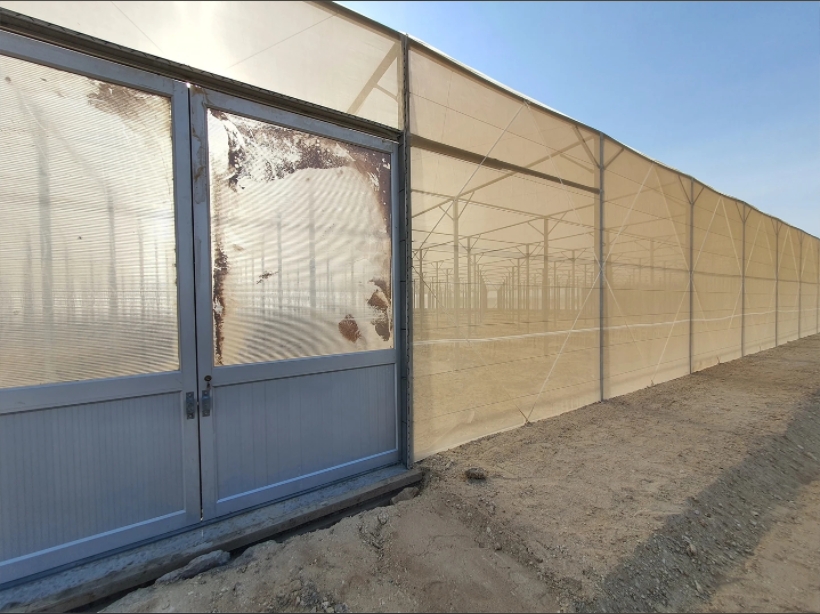 Anti Insect Proof Netting Greenhouse House