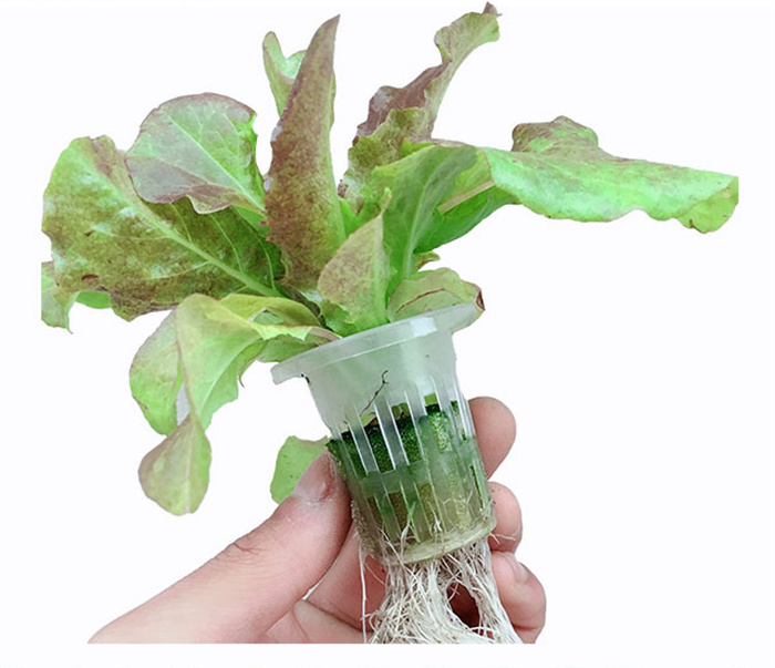 Vertical Hydroponic Channel Farming System