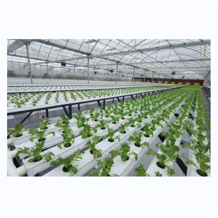 Lettuce Grow NFT Channel Pipe Gulley