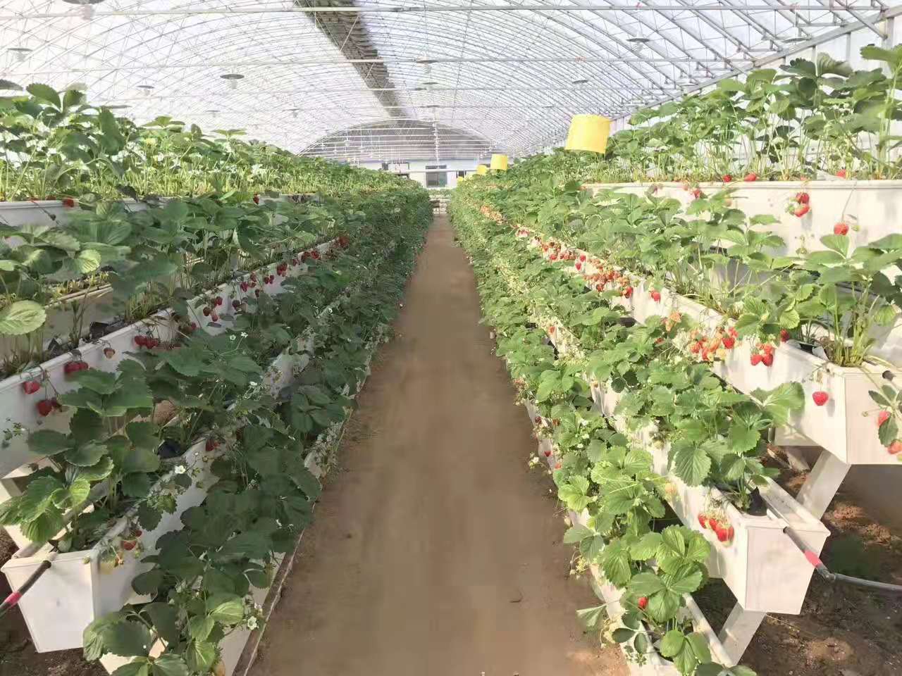Planting trough