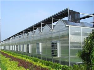 Polycarbonate Board PC Greenhouse