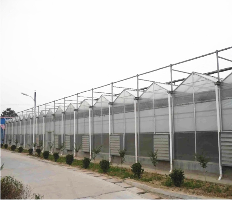 Polycarbonate Board PC Greenhouse