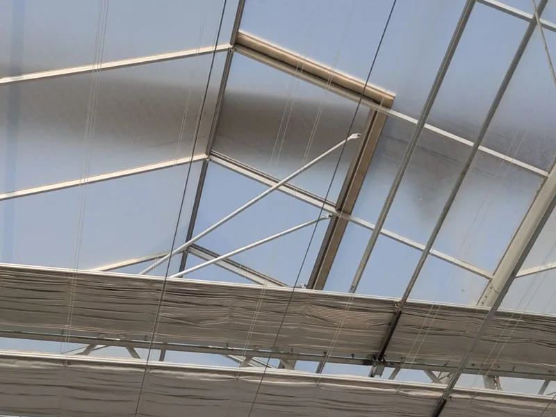 Polycarbonate Board PC Greenhouse