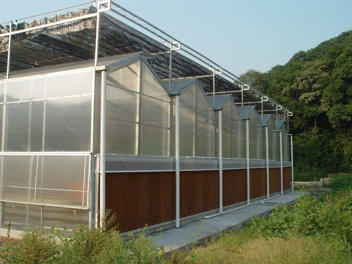 Polycarbonate Panel Sheet Greenhouse