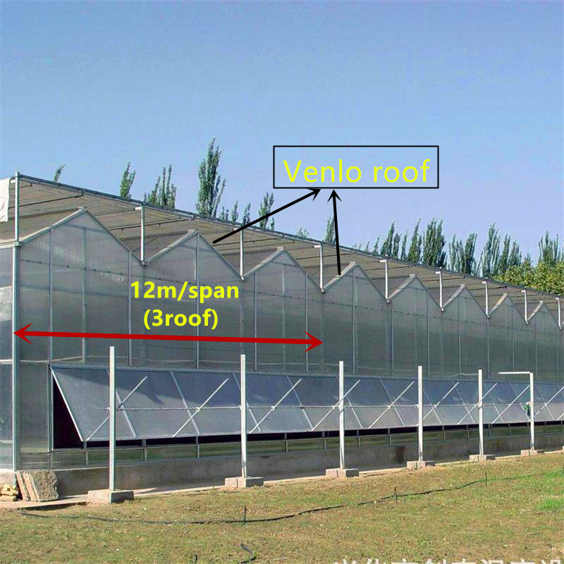 Agricultural Intelligent PC Sheet Greenhouse