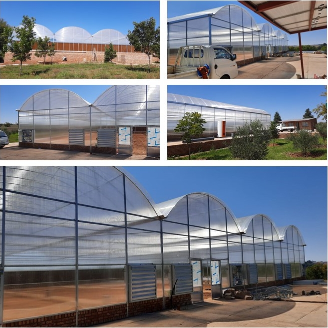 Agricultural Intelligent PC Sheet Greenhouse