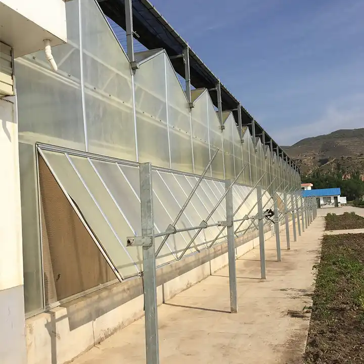 Fully Automatic Modern Greenhouse