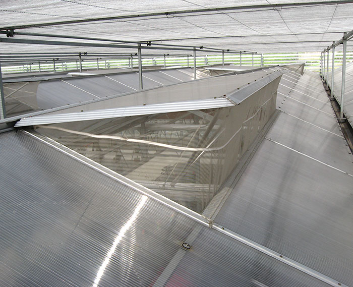 Fully Automatic Modern Greenhouse