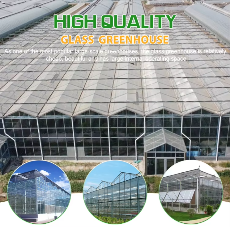 commercial glass greenhouse