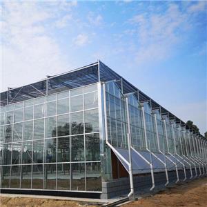 Multi Span Commercial Glass Greenhouse