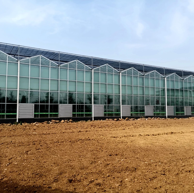 Triangle Venlo Roof Fiber Glass Greenhouse