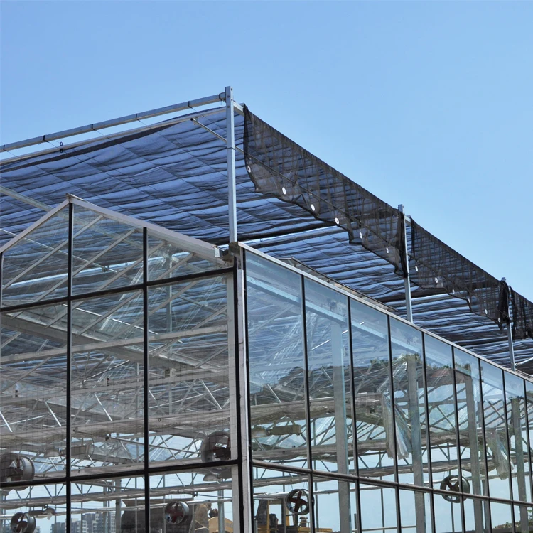 Triangle Venlo Roof Fiber Glass Greenhouse