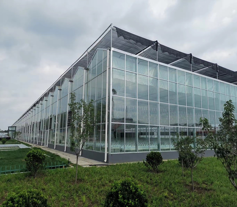 Intelligent Tempered Glass Greenhouse