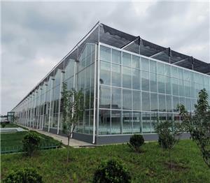 Intelligent Tempered Glass Greenhouse