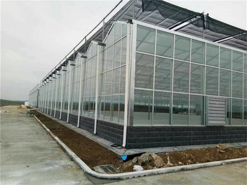 Intelligent Tempered Glass Greenhouse