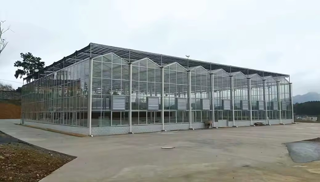 Intelligent Tempered Glass Greenhouse