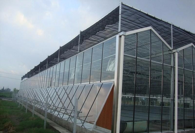 Intelligent Tempered Glass Greenhouse
