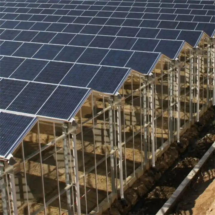 Photovoltaic Solar Panel Greenhouse
