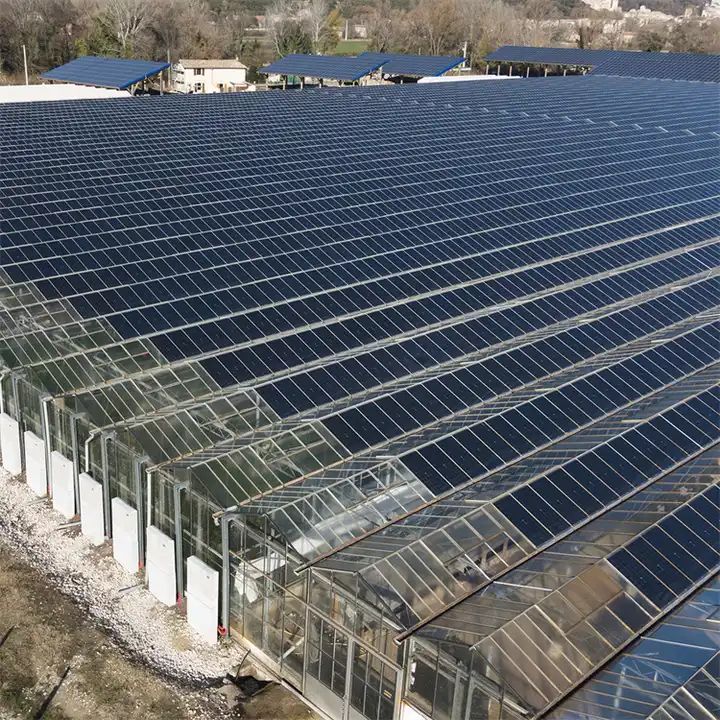 Photovoltaic Solar Panel Greenhouse
