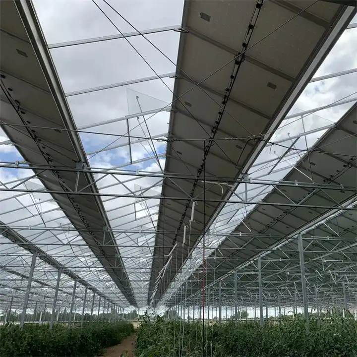 Photovoltaic Solar Panel Greenhouse