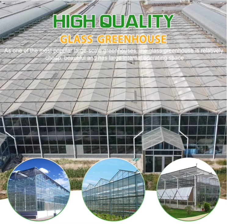 double glazing glass greenhouse