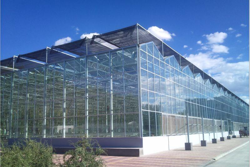 Commercial Agricultural Glass Green House