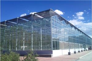 Commercial Agricultural Glass Green House
