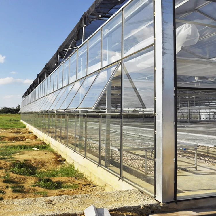 Automatic Control Glass Agricultural Greenhouse