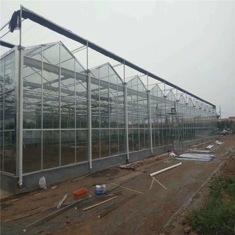 Automatic Control Glass Agricultural Greenhouse
