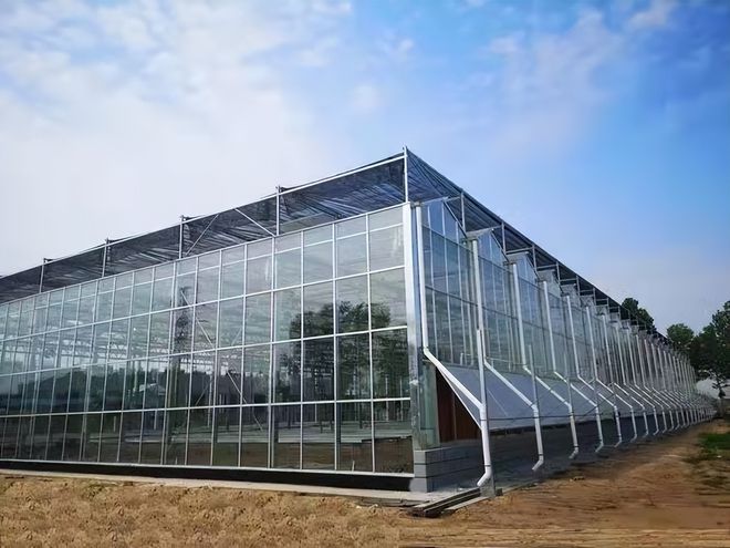 Glass Greenhouse Design And Construction