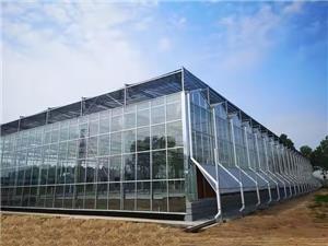 Glass Greenhouse Design And Construction