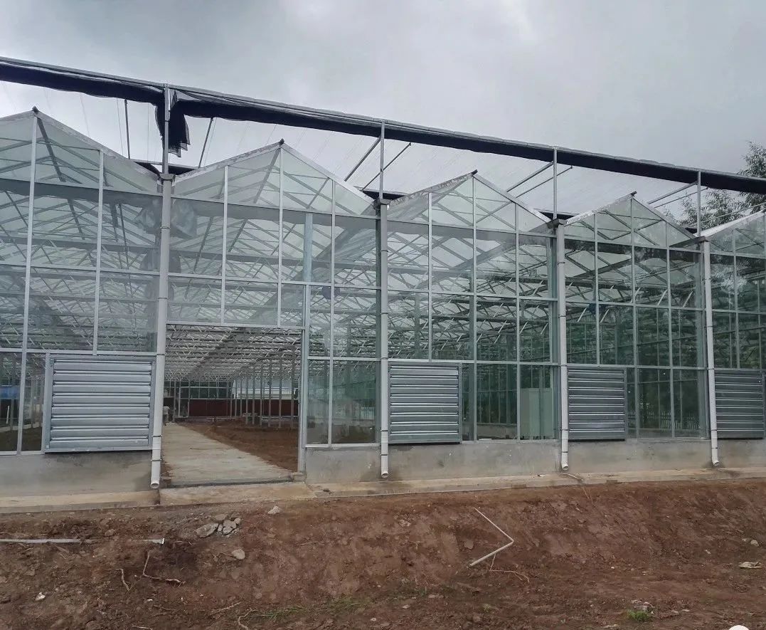 Glass Greenhouse Design And Construction