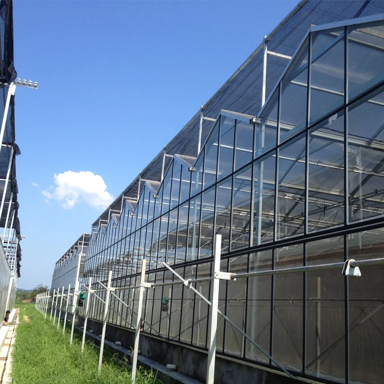 Glass Greenhouse Design And Construction