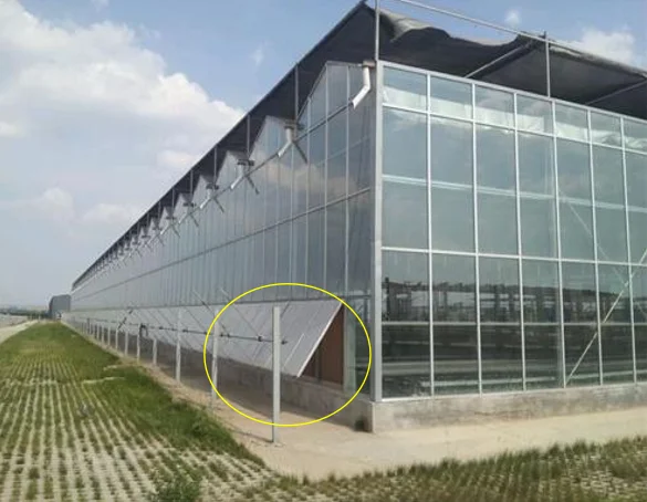 Glass Greenhouse Design And Construction