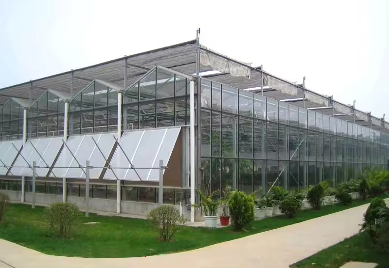 Glass Greenhouse Design And Construction