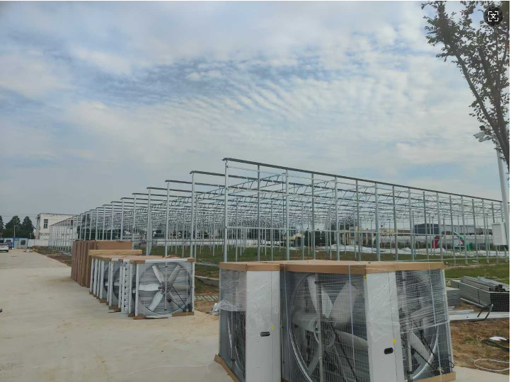 Glass Greenhouse Construction