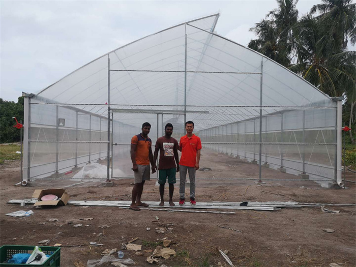 Africa greenhouse