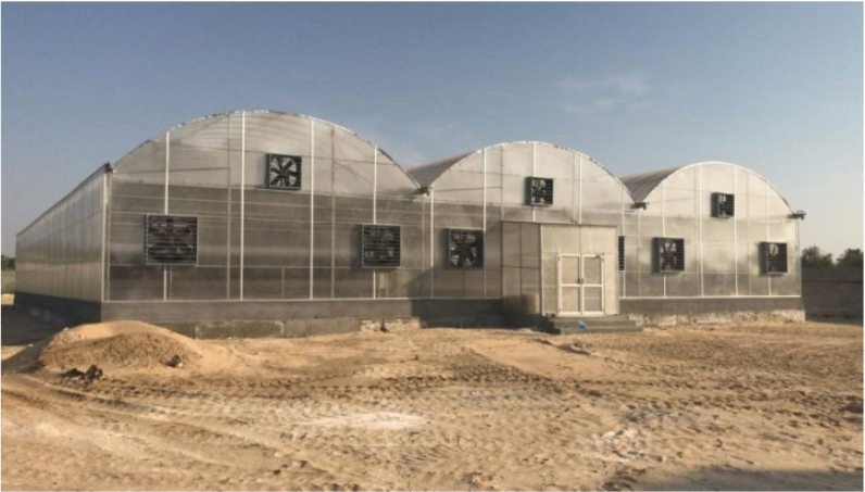twinwall polycarbonate greenhouse
