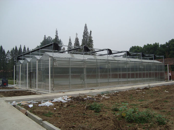 Greenhouse Polycarbonate sheet