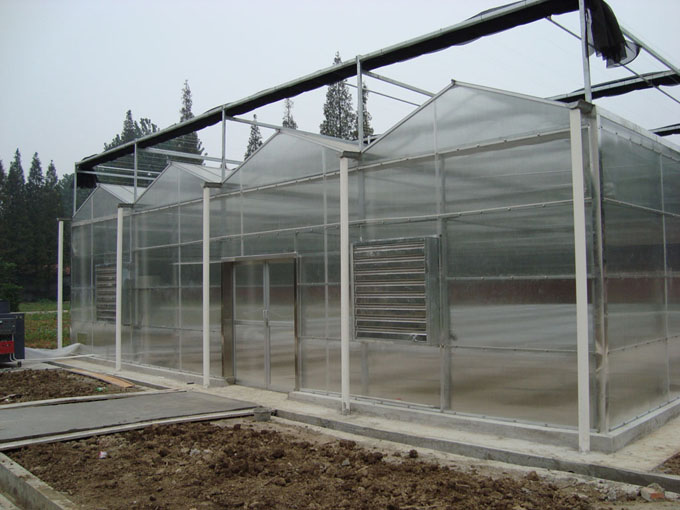 Polycarbonate sheet greenhouse