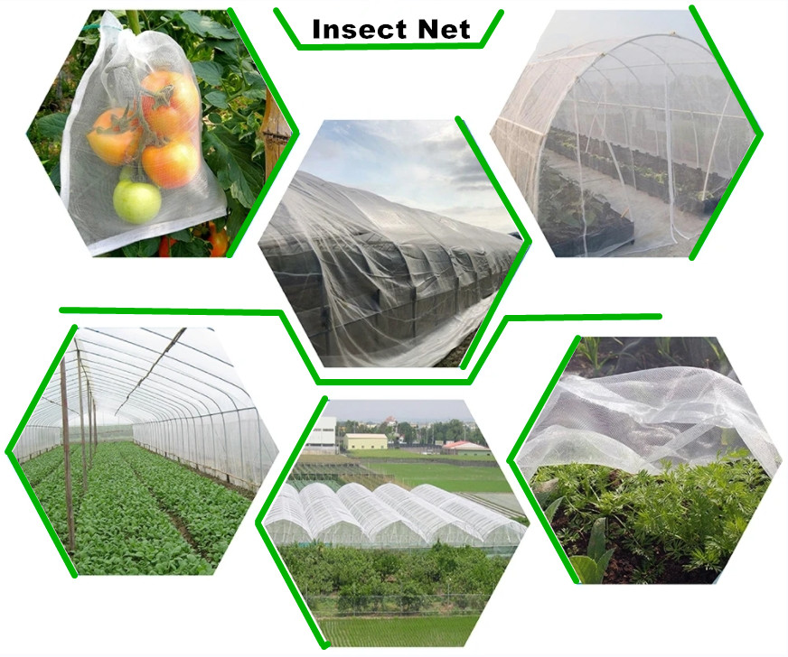 insect net house